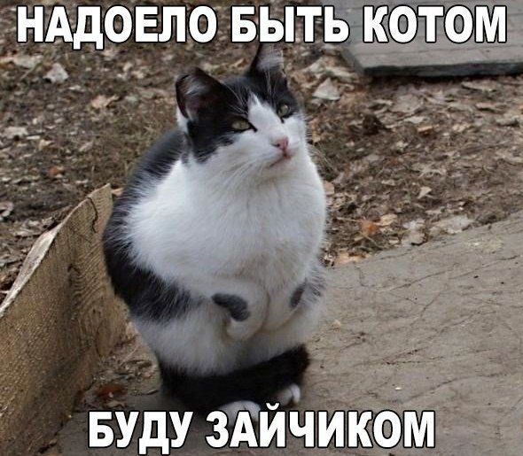 Ночью у соседки кровать скрипела…)) – РЖАКА – Медиаплатформа МирТесен Ночью у соседки кровать скрипела…)) – РЖАКА – Медиаплатформа МирТесен