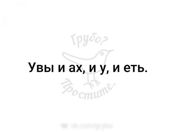 Веселые картинки для настроения455 Веселые картинки для настроения455