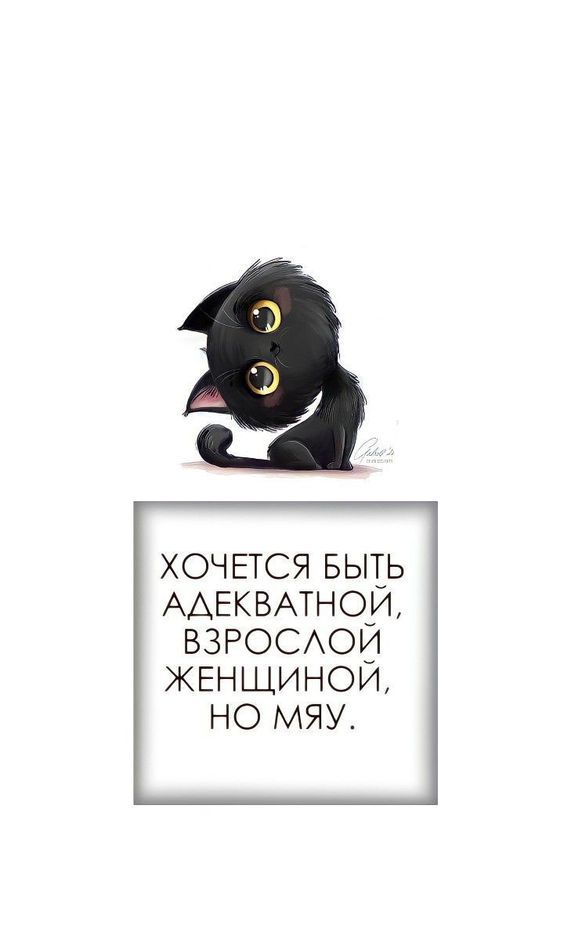 юмор очень смешно 205 юмор очень смешно 205
