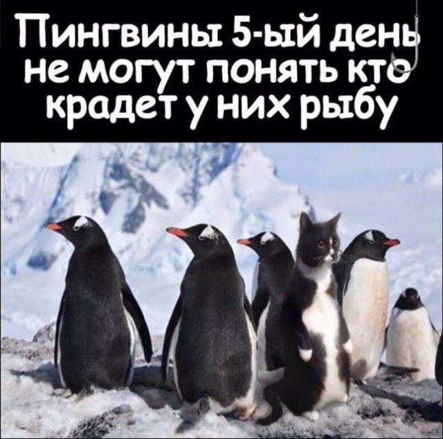 Немного картинок для настроения – ЯПлакалъ Немного картинок для настроения – ЯПлакалъ