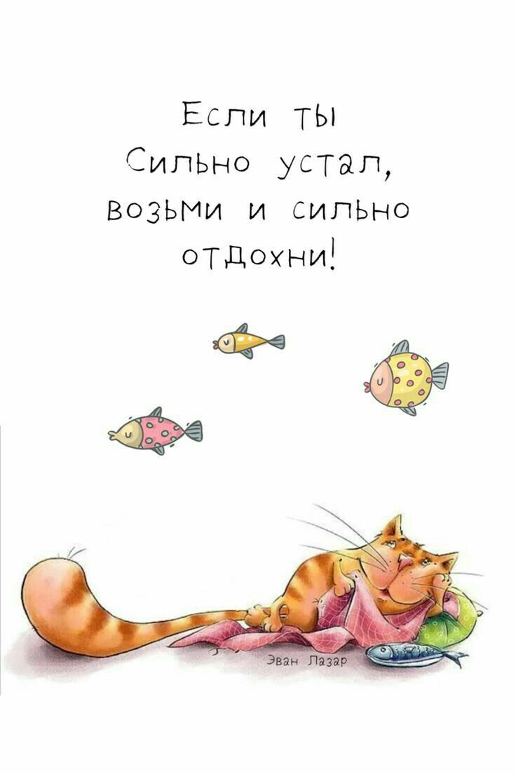 Позитивные мысли 532 Позитивные мысли 532