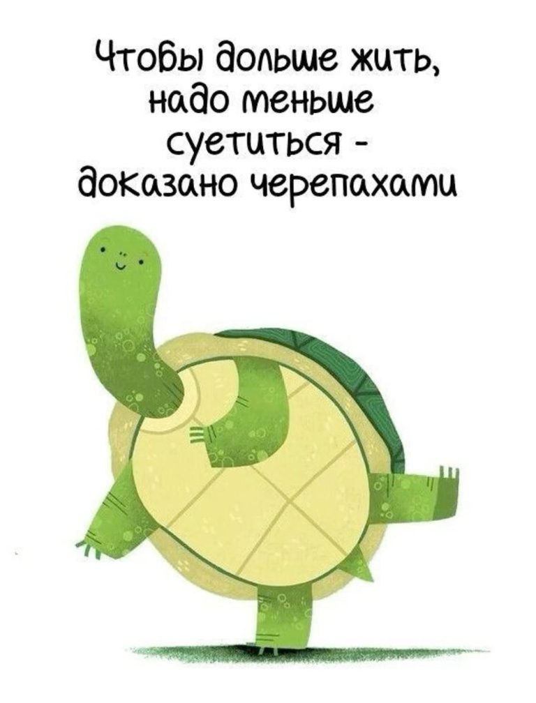 Доказано черепахами