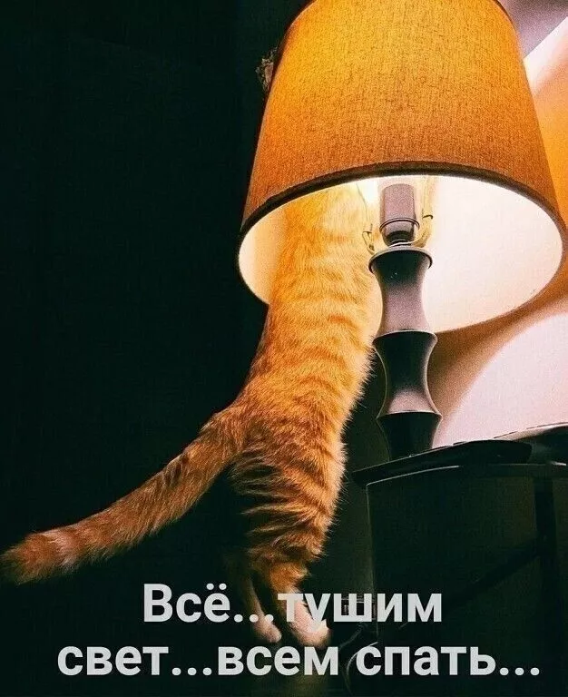 ОЛЕГ ИДИ СПАТЬ ОЛЕГ ИДИ СПАТЬ