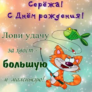 Открытка Серёже на День рождения со смешным котом Открытка Серёже на День рождения со смешным котом