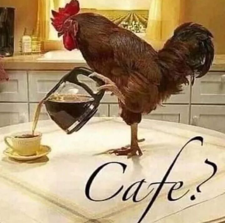 meme мем пикча meme мем пикча