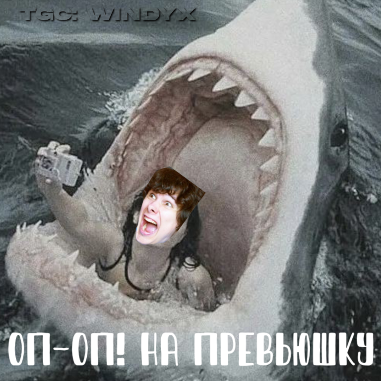 ТГК: WindyX ТГК: WindyX