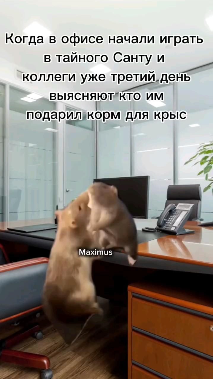 тайный санта тайный санта