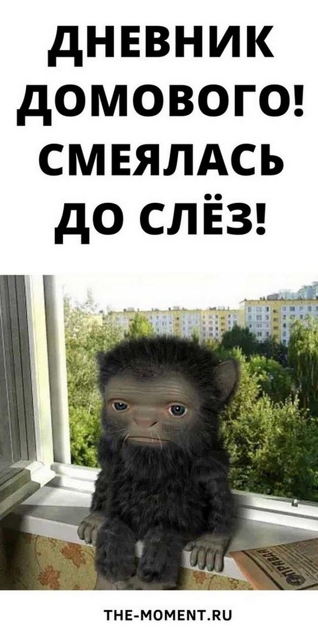 ΠΠΎΠ²ΡΠΉ ΠΈ ΠΎΡΠ΅Π½Ρ ΡΠΌΠ΅ΡΠ½ΠΎΠΉ Π°Π½Π΅ΠΊΠ΄ΠΎΡ: Π΄Π½Π΅Π²Π½ΠΈΠΊ Π΄ΠΎΠΌΠΎΠ²ΠΎΠ³ΠΎ | ΠΠ΅ΡΠ½ΠΎΠ΅ Π‘ΡΠ°ΡΡΡΠ΅ ΠΠΎΠ²ΡΠΉ ΠΈ ΠΎΡΠ΅Π½Ρ ΡΠΌΠ΅ΡΠ½ΠΎΠΉ Π°Π½Π΅ΠΊΠ΄ΠΎΡ: Π΄Π½Π΅Π²Π½ΠΈΠΊ Π΄ΠΎΠΌΠΎΠ²ΠΎΠ³ΠΎ | ΠΠ΅ΡΠ½ΠΎΠ΅ Π‘ΡΠ°ΡΡΡΠ΅