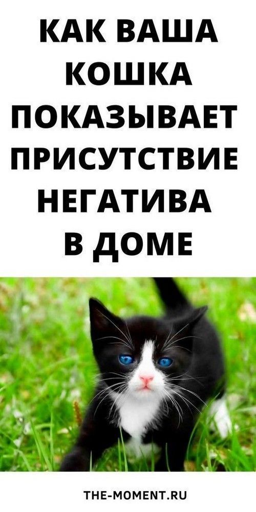 юмор очень смешно 312 юмор очень смешно 312