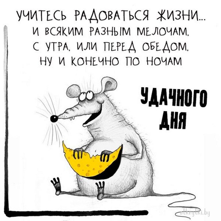 19 отличных открыток с пожеланием УДАЧНОГО ДНЯ 19 отличных открыток с пожеланием УДАЧНОГО ДНЯ
