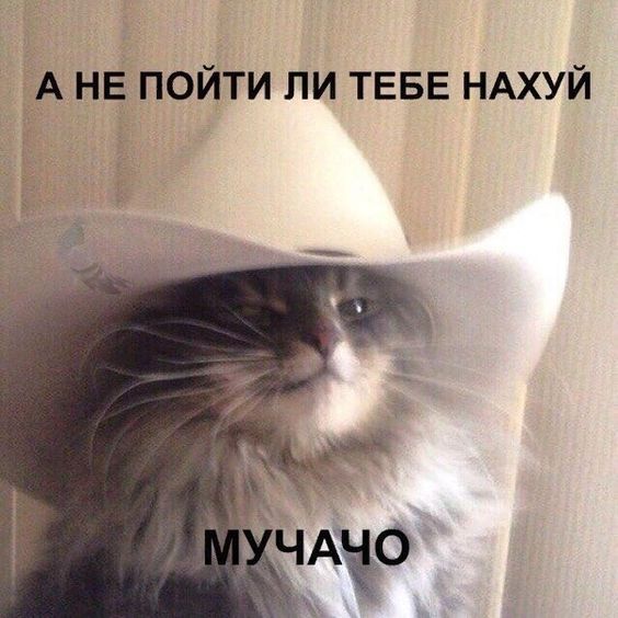 Cмешные шутки677 Cмешные шутки677