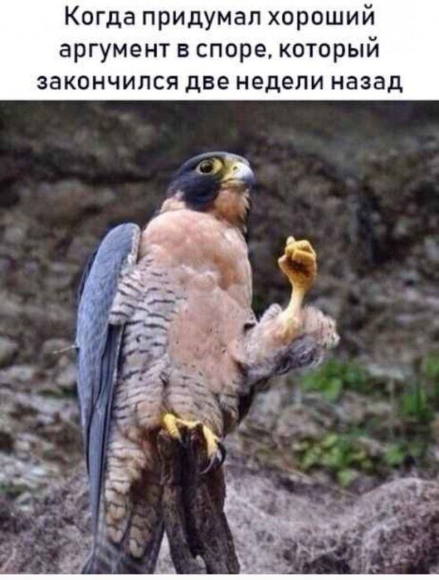Немного картинок для настроения – ЯПлакалъ Немного картинок для настроения – ЯПлакалъ