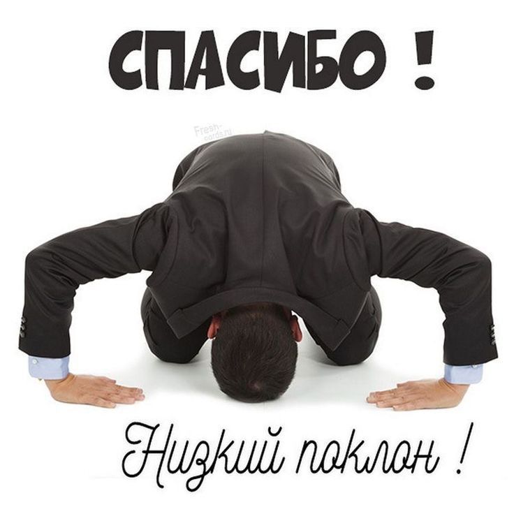 низкий поклон низкий поклон