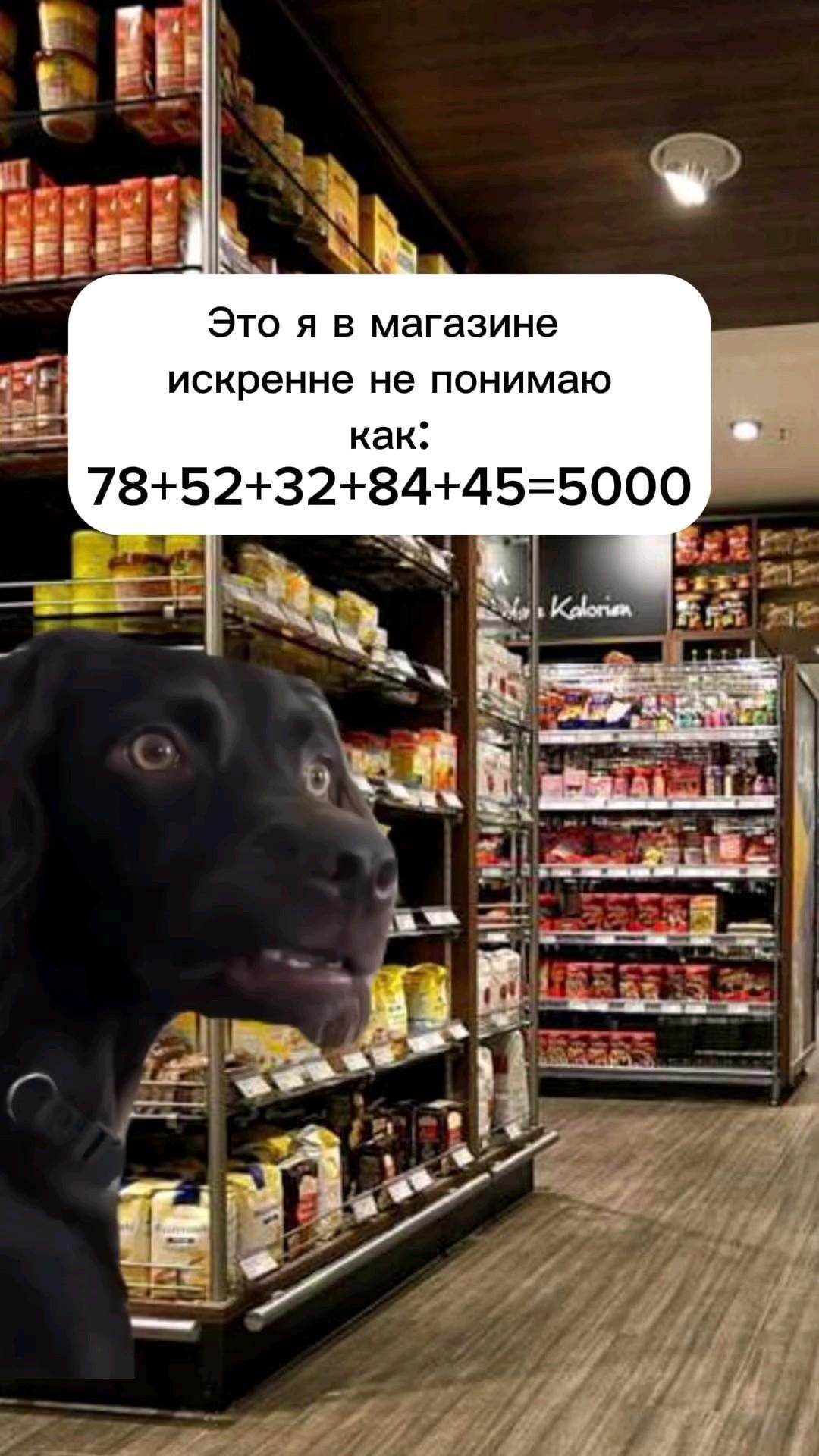 Смешные видео моменты приколы слово пацана зкд reels video подруга мем о жизни отношения новый год Смешные видео моменты приколы слово пацана зкд reels video подруга мем о жизни отношения новый год