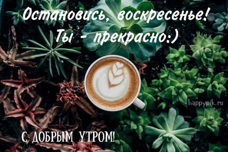 Картинки С добрым утром воскресенья – скачать Картинки С добрым утром воскресенья – скачать