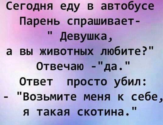 смешные открытки940 смешные открытки940