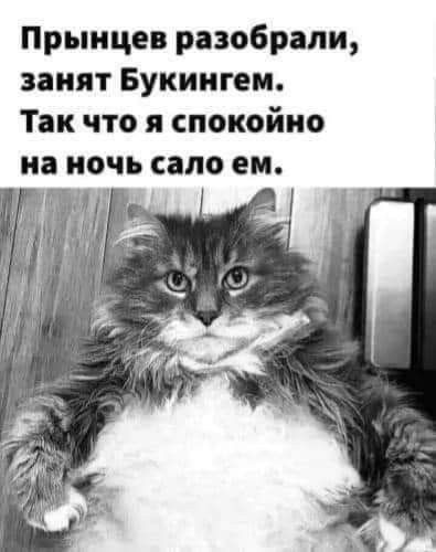 смешные открытки963 смешные открытки963