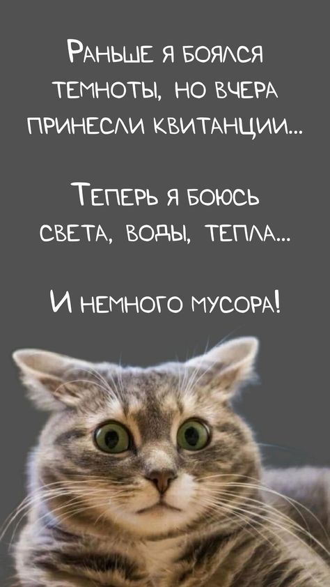 юмор очень смешно 323 юмор очень смешно 323