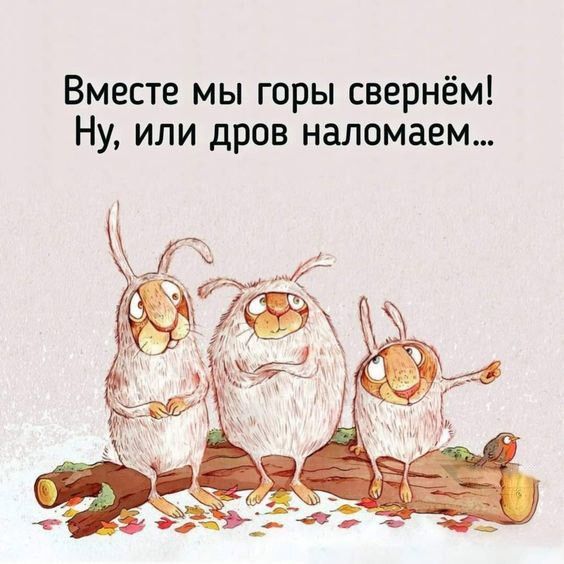 смешные открытки1001 смешные открытки1001