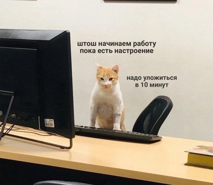 начинаем работу, пока есть настроение.. надо уложиться в 10 минут