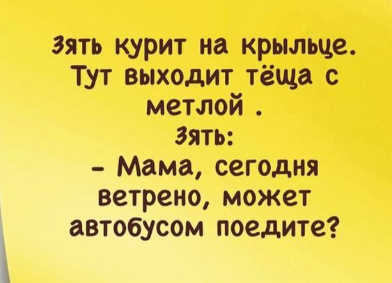 Анекдот про зятя и тёщу