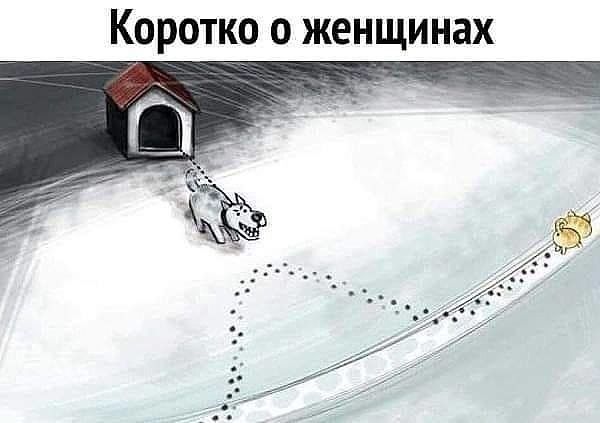 Коротко о женщинах Коротко о женщинах