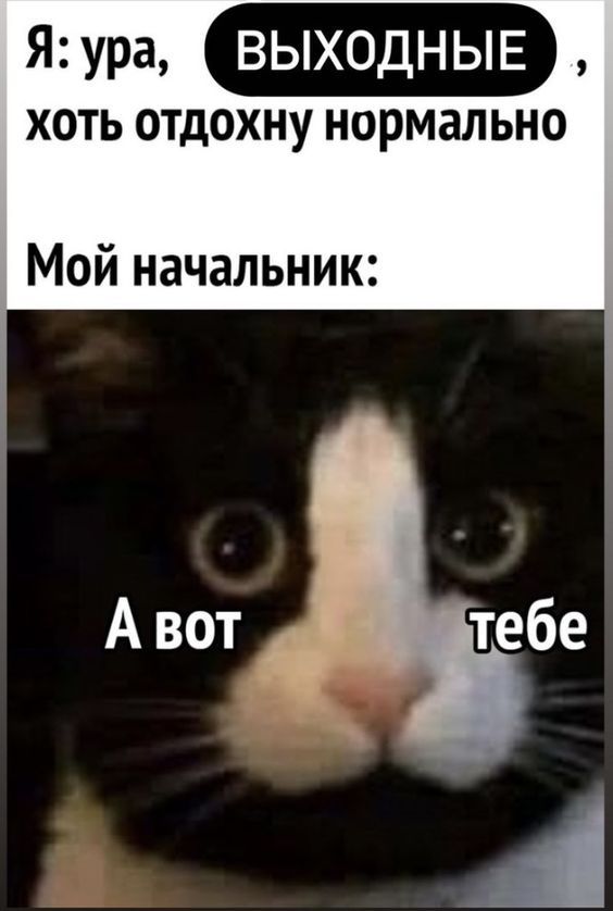 юмор очень смешно 509 юмор очень смешно 509