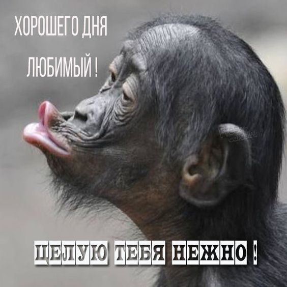 юмор очень смешно 95 юмор очень смешно 95