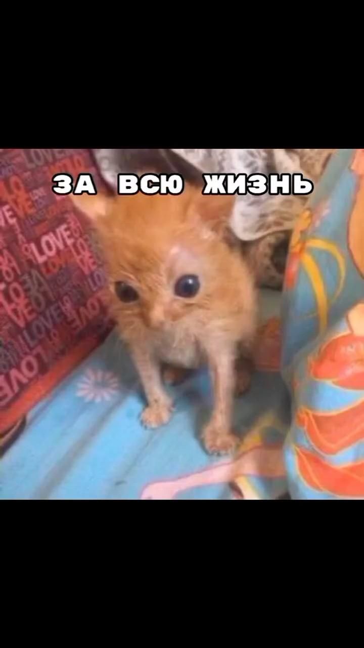 Немного с матом)🏴☠️ Немного с матом)🏴☠️