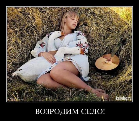 юмор очень смешно 876 юмор очень смешно 876