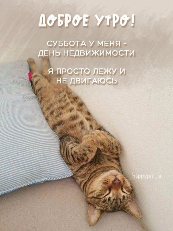 Картинки Доброе утро субботы – Хороших выходных – скачать Картинки Доброе утро субботы – Хороших выходных – скачать