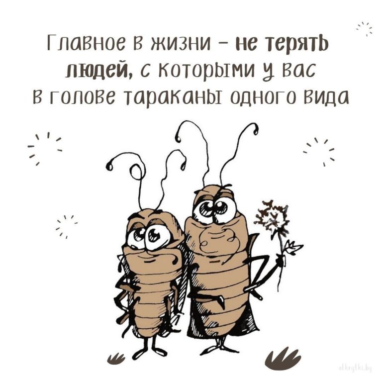 Мудрая картинка про близких людей и их тараканов Мудрая картинка про близких людей и их тараканов