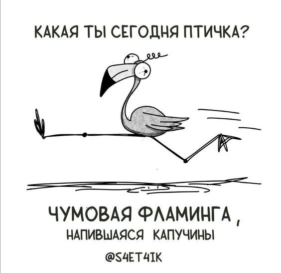 Прикольные фразы1337 Прикольные фразы1337
