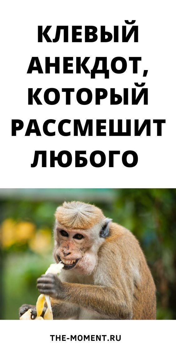 картинки с юмором161 картинки с юмором161