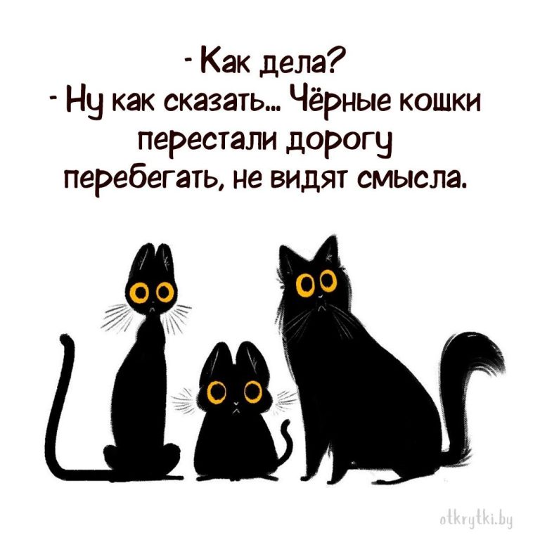 Весёлые картинки с шутками и смешными надписями Весёлые картинки с шутками и смешными надписями