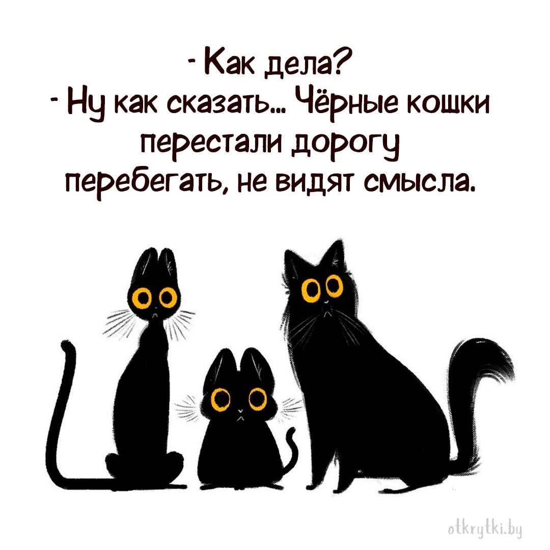 Весёлые картинки с шутками и смешными надписями Весёлые картинки с шутками и смешными надписями