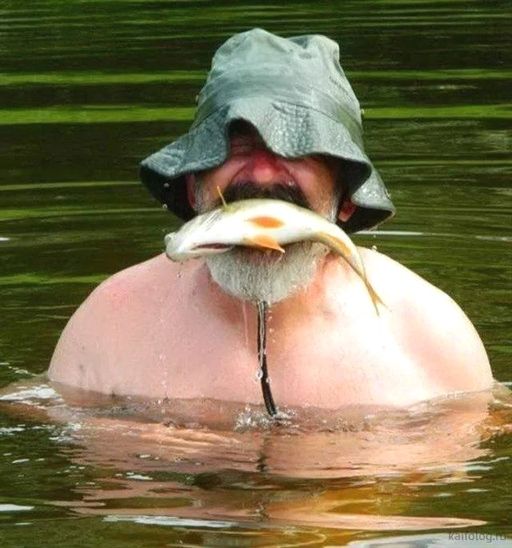 nitty gritty dirt band fishing after dark