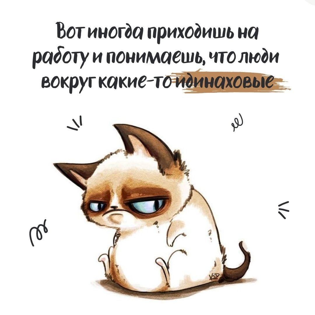 77 смешных открыток и прикольных картинок с юмором 77 смешных открыток и прикольных картинок с юмором