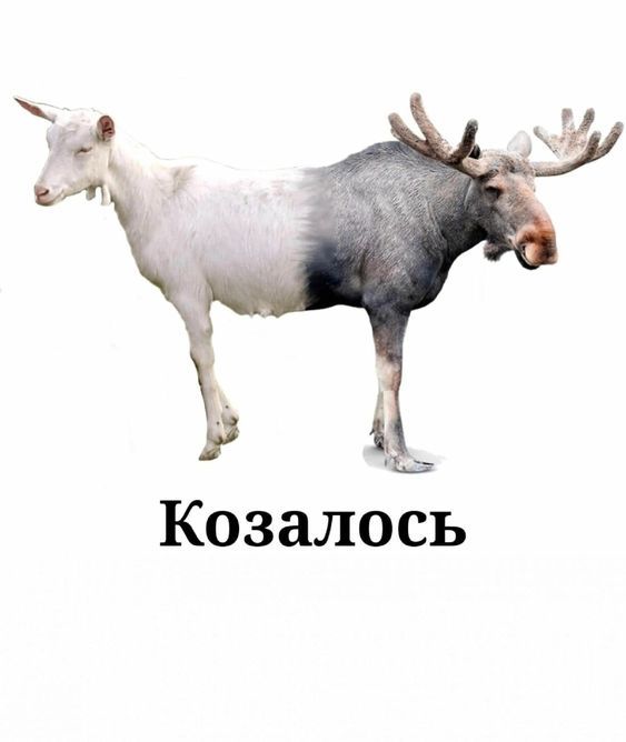Прикольные фразы275 Прикольные фразы275