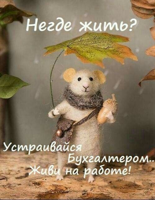 юмор очень смешно 130 юмор очень смешно 130