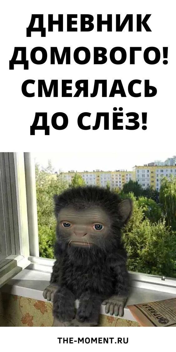 Дневник Домового! Смеялась До Слёз! Дневник Домового! Смеялась До Слёз!