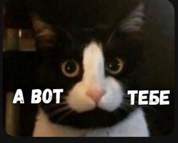 Дичь/Any sh1t Дичь/Any sh1t