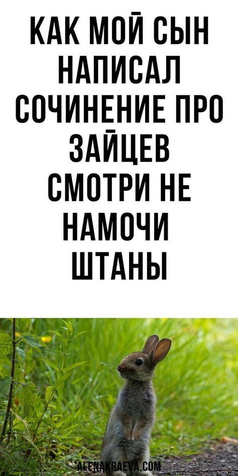 юмор очень смешно 237 юмор очень смешно 237