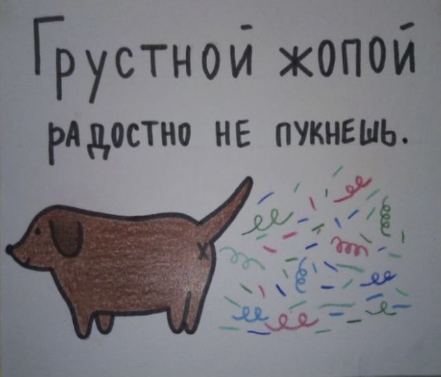 грустной жопой радосто не пукнишь грустной жопой радосто не пукнишь