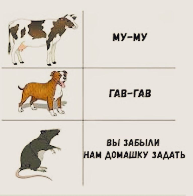 Вспомним школьные мемы😅⚡ Вспомним школьные мемы😅⚡