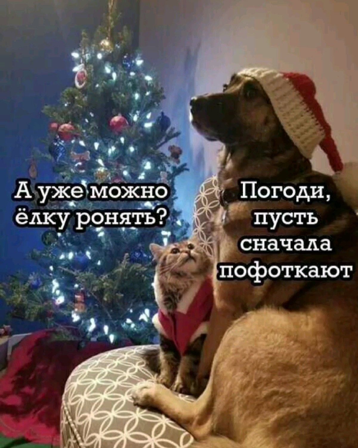 Смешные мемы фразы на каждый день мем с котами подруги переписки с парнем storis открытка подарок Смешные мемы фразы на каждый день мем с котами подруги переписки с парнем storis открытка подарок