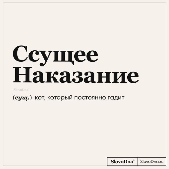 Мемы, приколы531 Мемы, приколы531