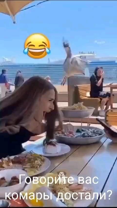 Банда чаек Банда чаек