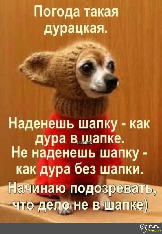 Позитивные мысли 16164 Позитивные мысли 16164
