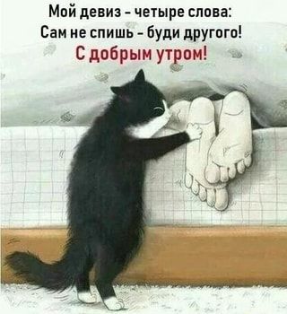 Мой девиз – четыре слова: Сам не спишь – буди другого! С добрым утром! – АйДаПрикол Мой девиз – четыре слова: Сам не спишь – буди другого! С добрым утром! – АйДаПрикол